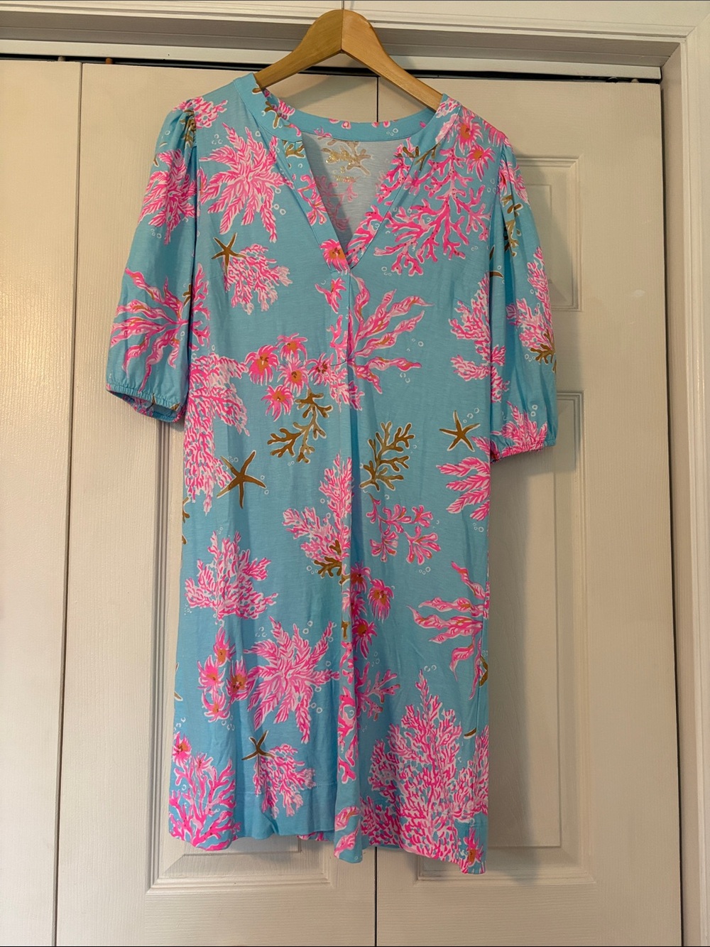 Lilly Pulitzer Colson Dress